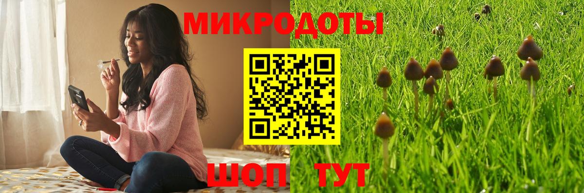 Галлюциногенные грибы Psilocybine cubensis  Псилоцибиновые грибы Psilocybe  Вход с VPN  Россия 